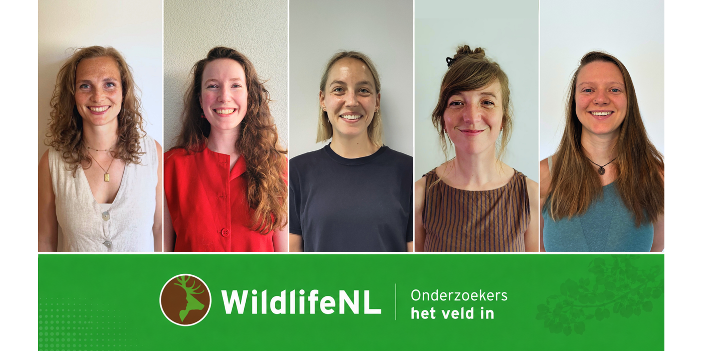 Veldonderzoek WildlifeNL van start in living labs