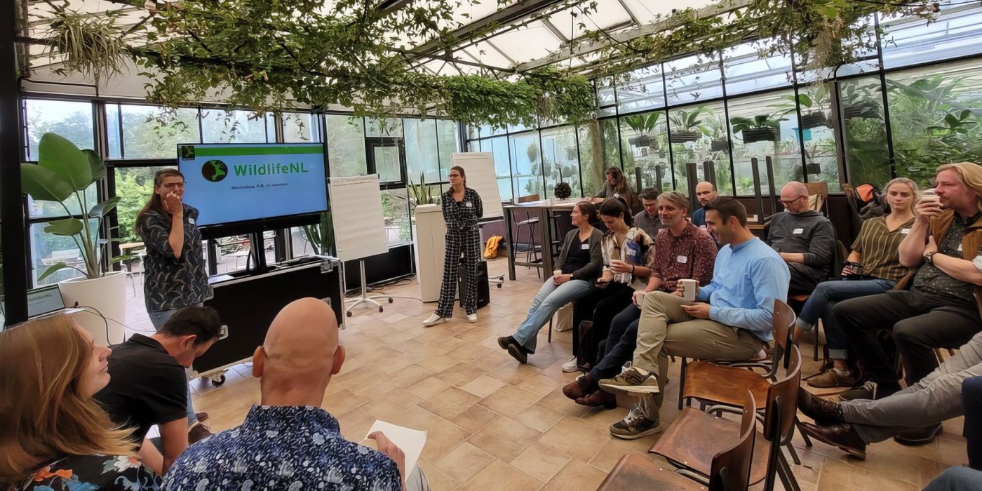 Workshop: management van wilde dieren en grote grazers in kaart brengen